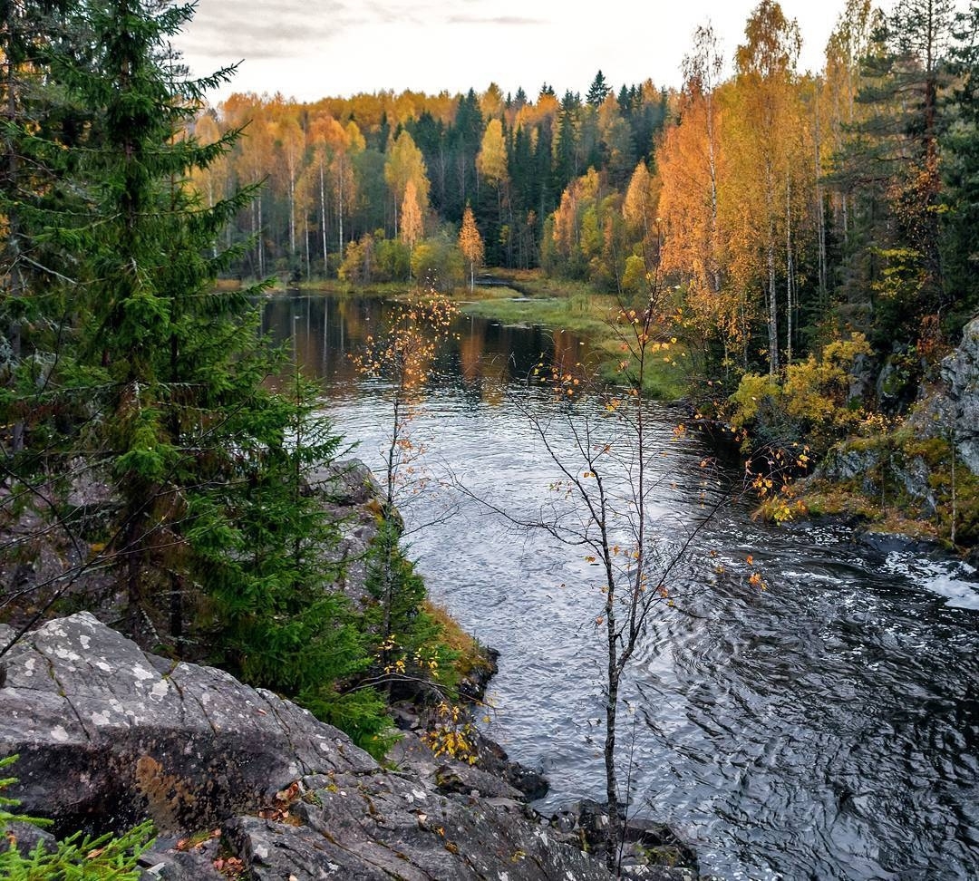 Река малая суна Карелия