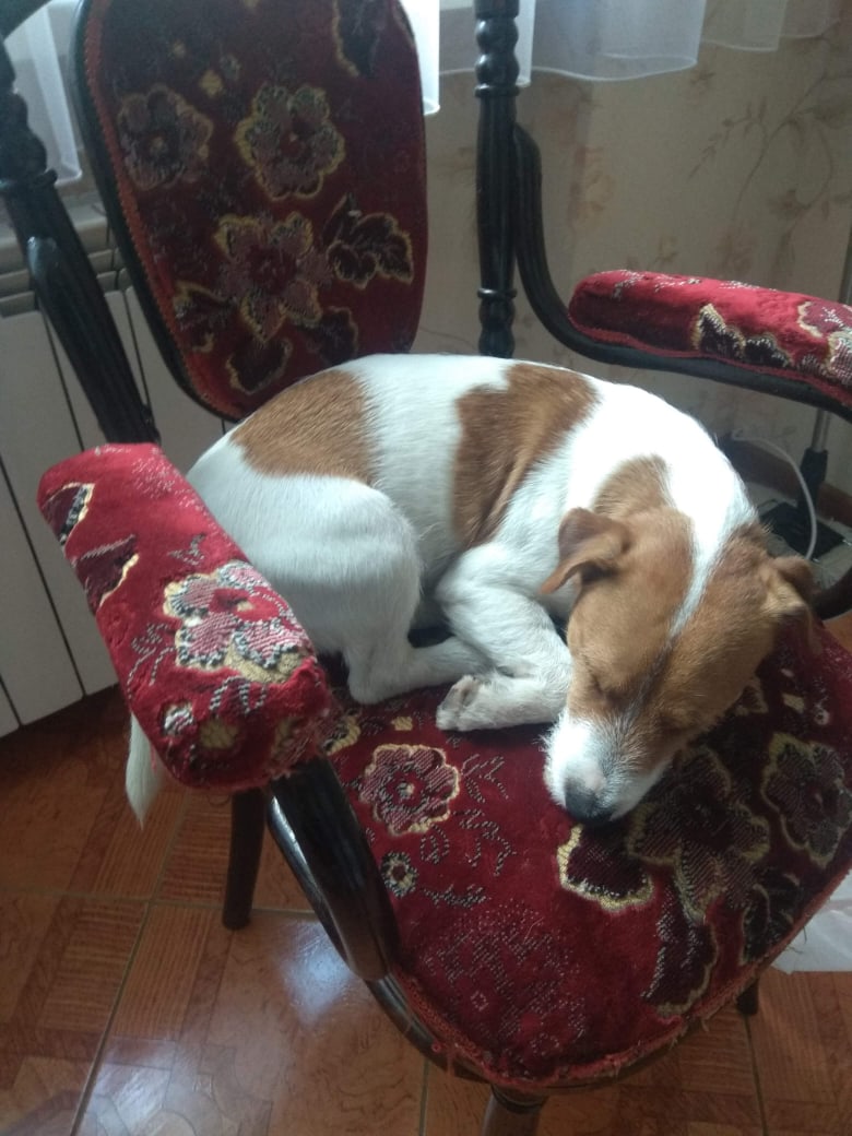 Оксана Овечкина | Санкт-Петербург