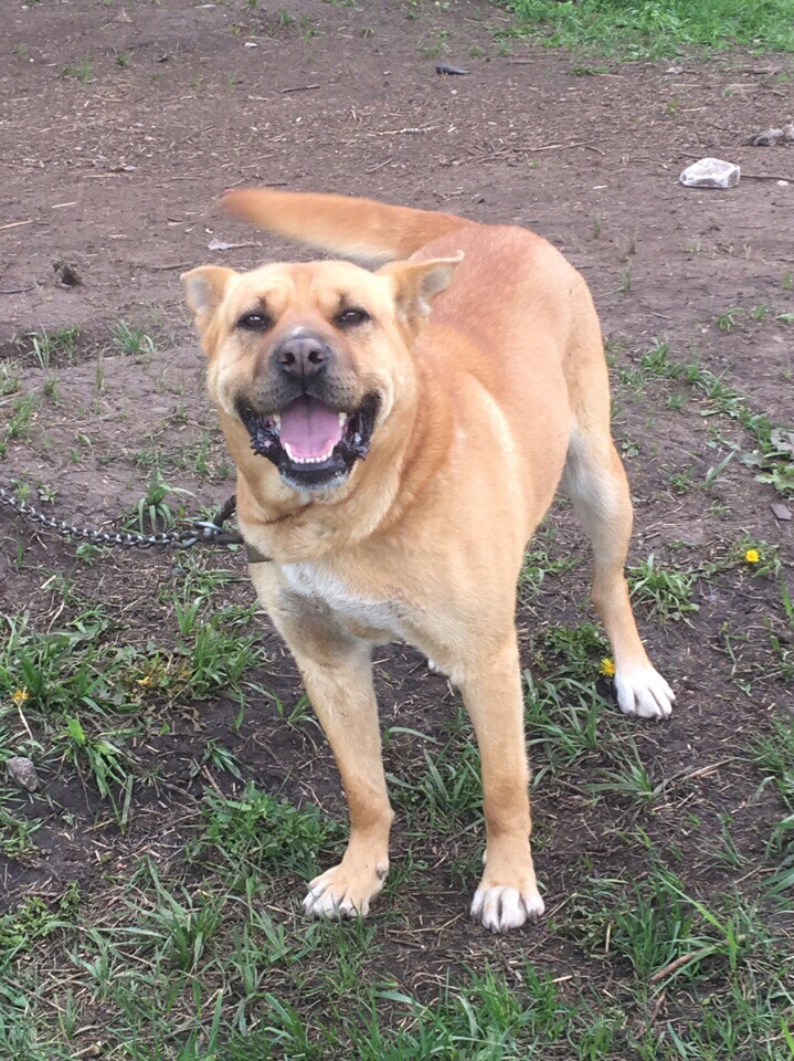 КАРМЭН
Она ВСЯ- ЭТО ГОРДОСТЬ И СТАТЬ!!;
Отличная