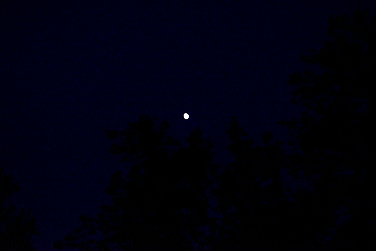 File:Moon August 2022.jpg - Wikimedia Commons