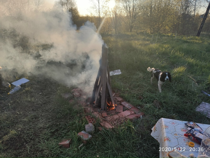 Владислав Никитин | Санкт-Петербург