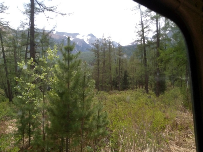 Даниил Васильев | Новосибирск