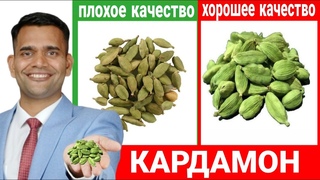 КАКОЙ ПРИМЕНЯТЬ КАРДАМОН