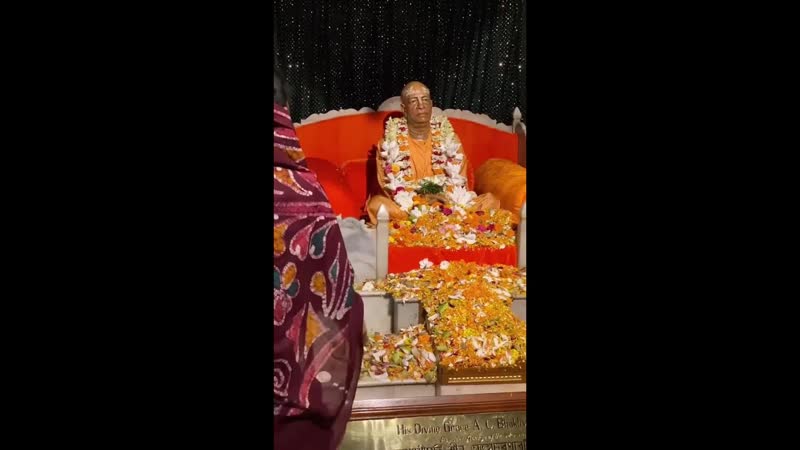 Мой телеграм t. me,