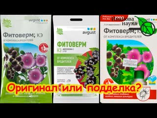 КАК НЕ КУПИТЬ ПОДДЕЛКУ В СЕТИ на МАРКЕТПЛЕЙСАХ Wildberries, OZON и на базаре. Как отличить оригинал.