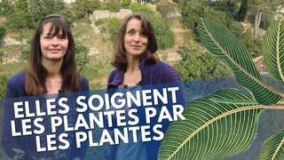 Le jardinage éco-responsable à son apogée ! Elles soignent les plantes par les plantes
