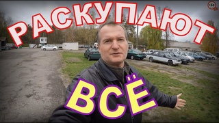 В КОНФИСКАТЕ прошла УЦЕНКА, ГРЕБУТ ВСЁ ПОДРЯД, НОВЫЙ обзор СТОЯНКИ - YouTube