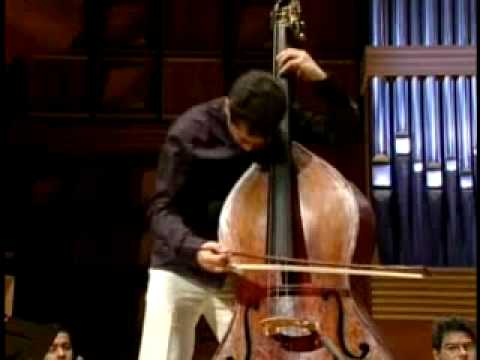 Bottesini Gran Concerto Cadenza on a three stringed