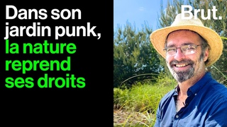 Pas d’arrosage, peu d’entretien… et un résultat spectaculaire : le jardin punk d’Éric Lenoir