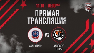 . АКМ-Юниор  Амурские Тигры | (OLIMPBET МХЛ 24/25)  Прямая трансляция