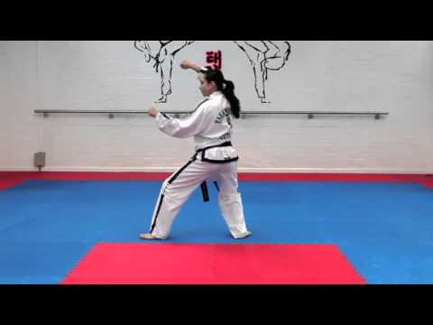 Dan Gun Tul and basic movements for grading to 7th