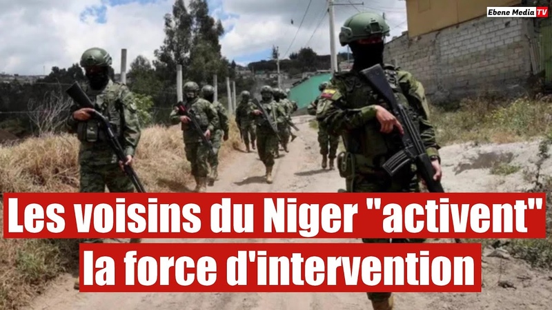 Les voisins du Niger activent la force