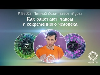 Как работают чакры у современного человека.А. Верба