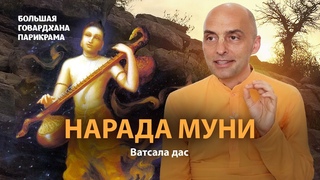 Нарада Муни – идеальный проповедник Сознания Кришны. Почему так важна садху-санга.