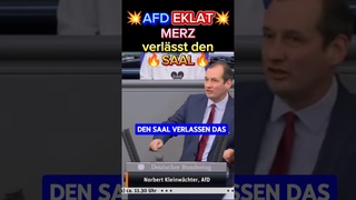 STANDPAUKE fr UNION Merz will gehen #afd #cdu #csu #politik #ampel #bundestag #weidel #bsw #spd