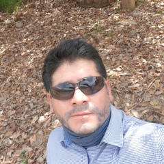 Andres Pechortinta