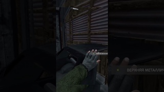 Дверь убила в DayZ