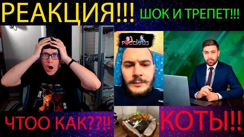 Чат рулетка, 1 Россия23, РЕАКЦИЯ НА vesti