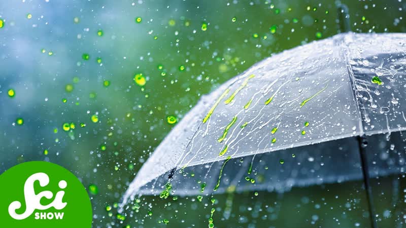 Why Dont We Talk About Acid Rain