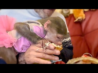 Люська дождалась СВАТОВ с ПОДАРКАМИ и просто накинулась на тортик)))