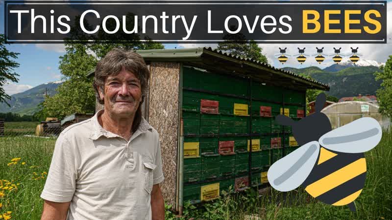 This Country Loves BEES (